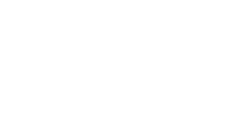 Chameleon Audio