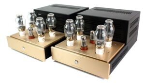 Home Canary Audio M350 Monoblock amps Side View