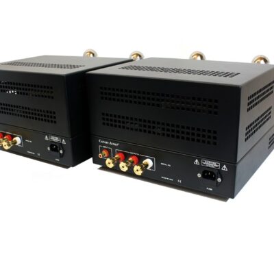 Canary Audio M120 Monoblock Amplifiers 2