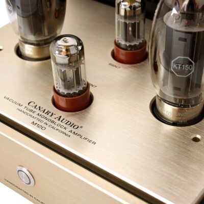 Canary Audio M120 Monoblock Amplifiers 3