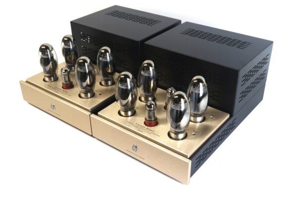 Canary Audio M250 Monoblock Amplifiers Side View