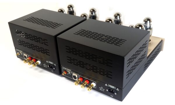 Canary Audio M250 Monoblock Amplifiers Back View and Ports