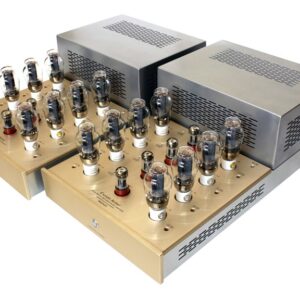 Canary Audio M3000 Monoblock Amplifiers Side View