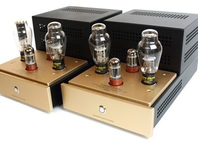 Canary Audio M330 Monoblock Amplifiers Side View