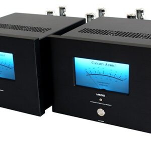 Canary Audio M600 Monoblock Amps Front View