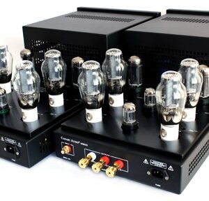 Canary Audio M600 Monoblock Amps Rear View & Tubes