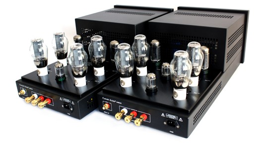 Canary Audio M600 Monoblock Amps Rear View & Tubes