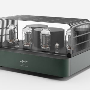 Fezz EVO Titania Power Amplifier Evergreen 2 scaled