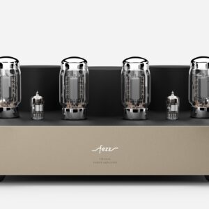 Fezz EVO Titania Power Amplifier Sunlight 3 scaled