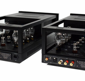 Canary Audio REFERENCE TWO Monoblock Amplifiers Rear View with 300B Tubes