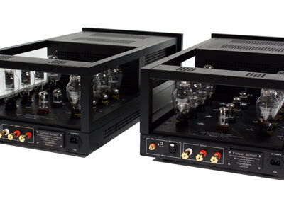 Canary Audio REFERENCE TWO Monoblock Amplifiers Rear View with 300B Tubes