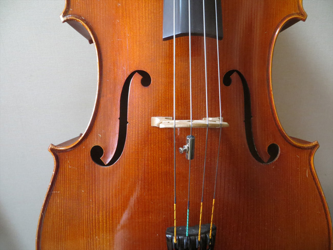 violin image 02