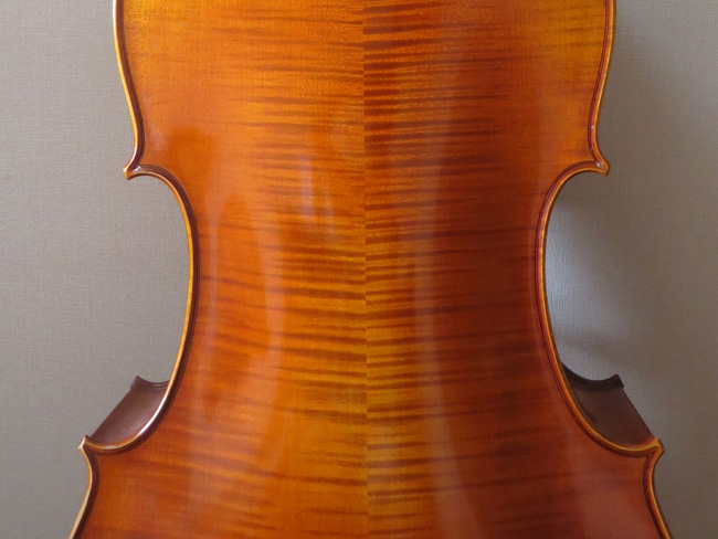 violin image 03