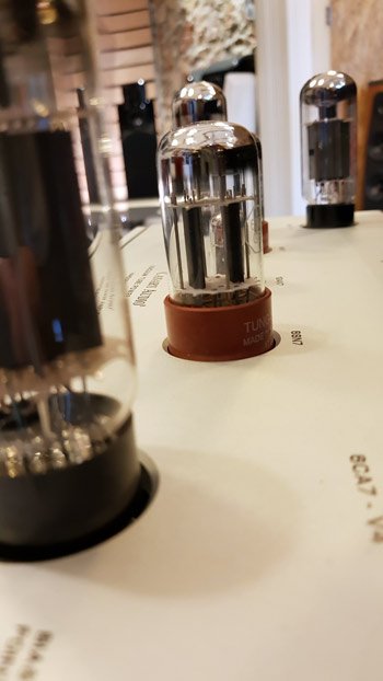 canary close up review power amp