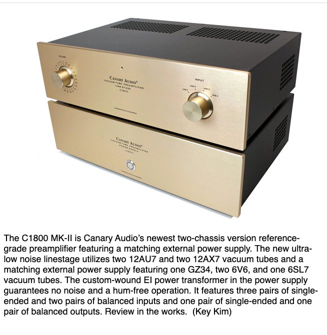 stereotimescanary1 copy