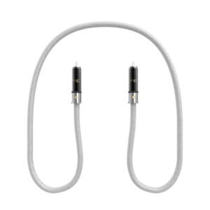 Flint Consequence 1 RCA STANDARD