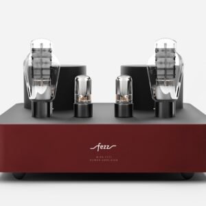 Fezz EVO Mira Ceti 300b mono power amplifier Big Calm 3