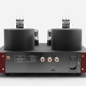 Fezz EVO Mira Ceti 300b mono power amplifier Big Calm 4