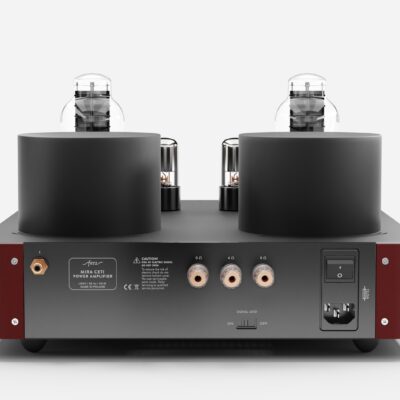 Fezz EVO Mira Ceti 300b mono power amplifier Big Calm 4