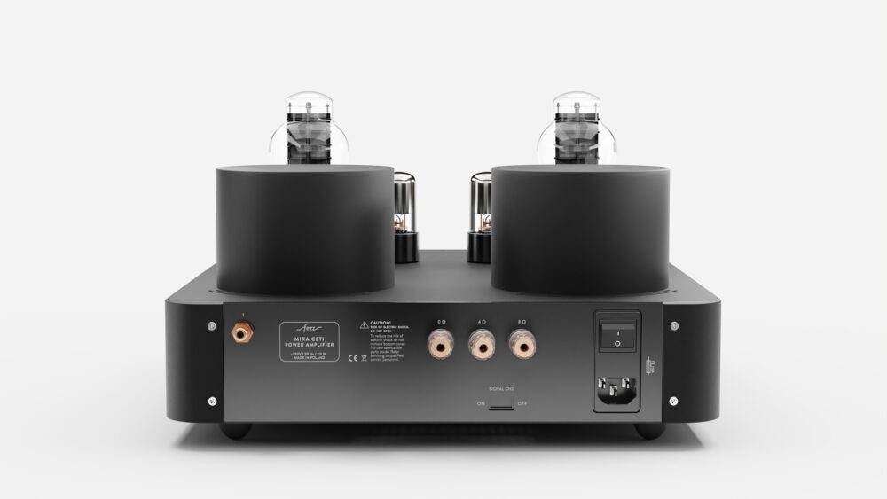 Fezz EVO Mira Ceti 300b mono power amplifier Black Ice 4