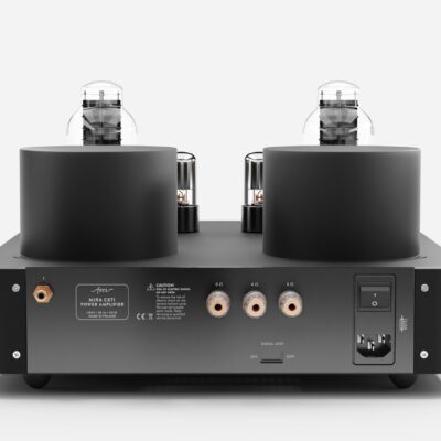 Fezz EVO Mira Ceti 300b mono power amplifier Black Ice 4