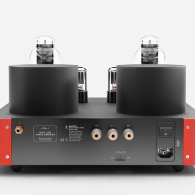 Fezz EVO Mira Ceti 300b mono power amplifier Burning Red 4