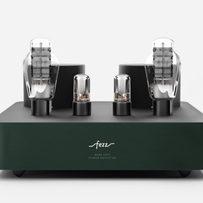 Fezz EVO Mira Ceti 300b mono power amplifier Evergreen 3