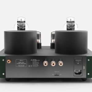 Fezz EVO Mira Ceti 300b mono power amplifier Evergreen 4