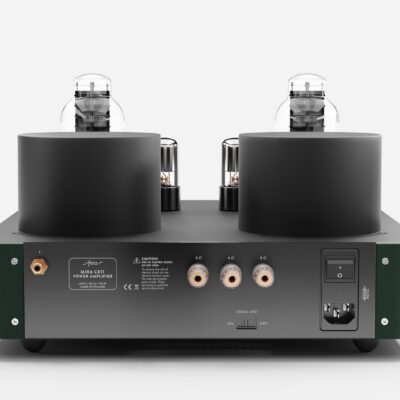 Fezz EVO Mira Ceti 300b mono power amplifier Evergreen 4