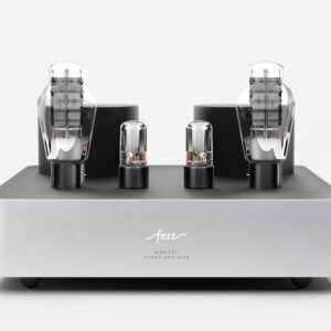 Fezz EVO Mira Ceti 300b mono power amplifier Moonlight 23