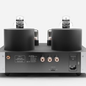 Fezz EVO Mira Ceti 300b mono power amplifier Moonlight 4