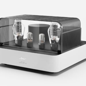 Fezz EVO Mira Ceti 300b mono power amplifier Republika 2