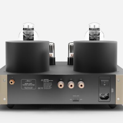 Fezz EVO Mira Ceti 300b mono power amplifier Sunlight 4