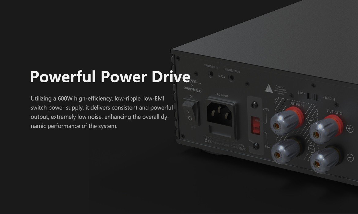 AMP F2 image desc 4
