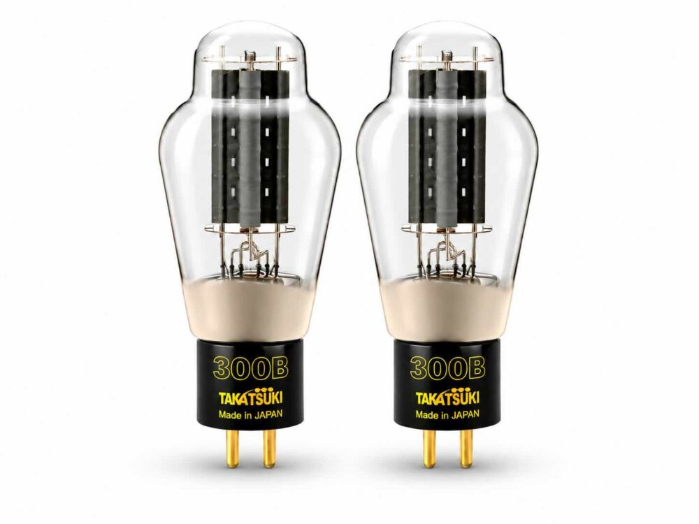 Takatsuki TA-300B Tube
