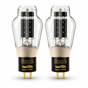 Takatsuki TA-300B Tube