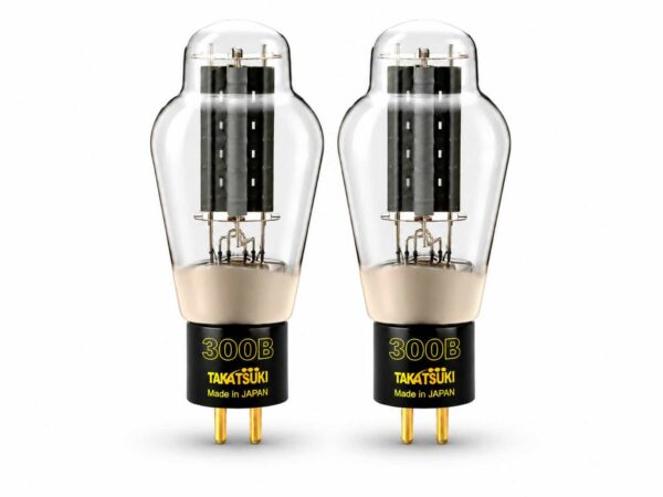 Takatsuki TA-300B Tube
