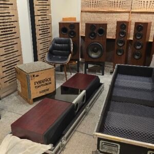 Dynaudio Evidence Temptation