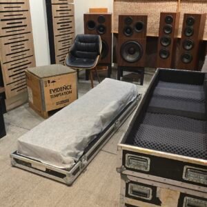 Dynaudio Evidence Temptation