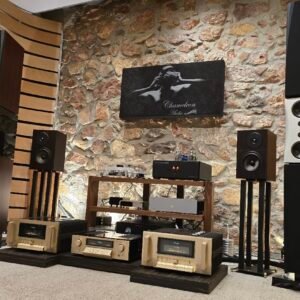 Dynaudio Evidence Temptation