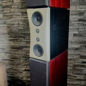 Dynaudio Evidence Temptation