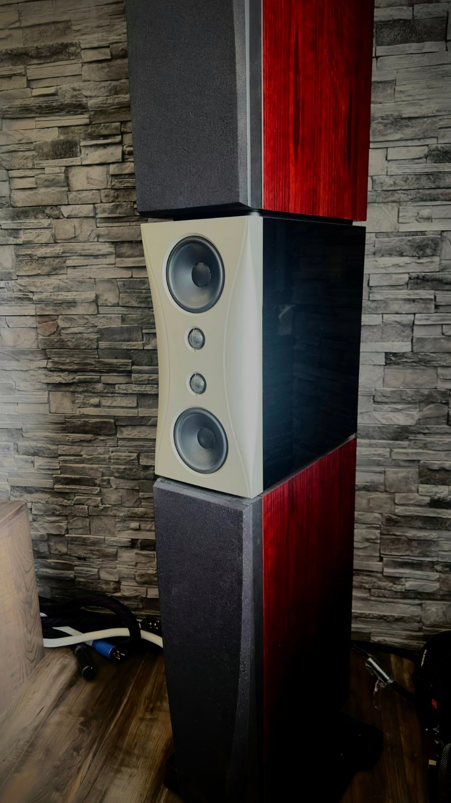 Dynaudio Evidence Temptation