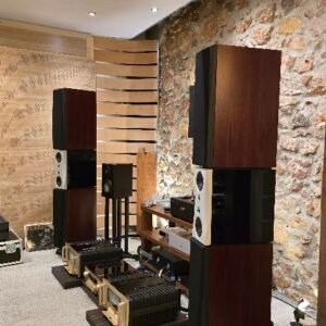 Accuphase A-250 Monos  Class A power amplifier