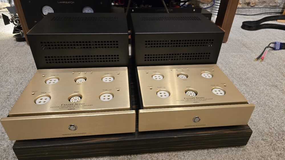 Canary Audio M350 Monoblock Amplifiers ex demo