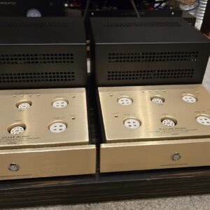 Canary Audio M350 Monoblock Amplifiers ex demo