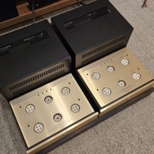 Canary Audio M350 Monoblock Amplifiers ex demo