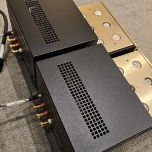 Canary Audio M350 Monoblock Amplifiers ex demo