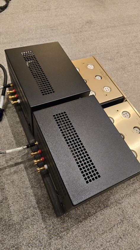 Canary Audio M350 Monoblock Amplifiers ex demo