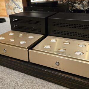 Canary Audio M350 Monoblock Amplifiers ex demo