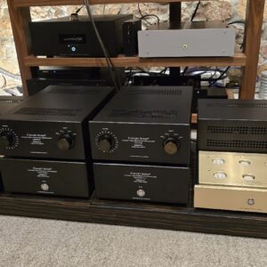 Canary Audio M350 Monoblock Amplifiers ex demo